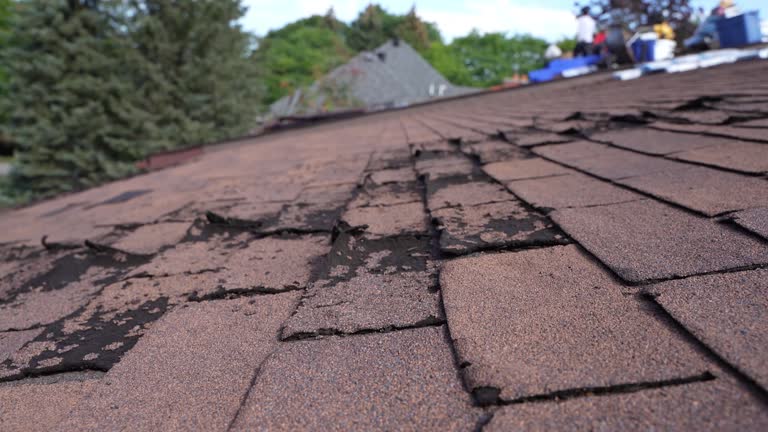Gainesville, GA Roofing Services Company