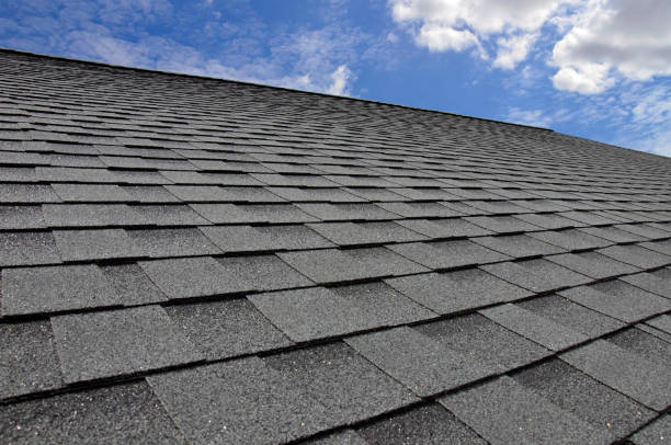 Best Roof Installation  in Inesville, GA