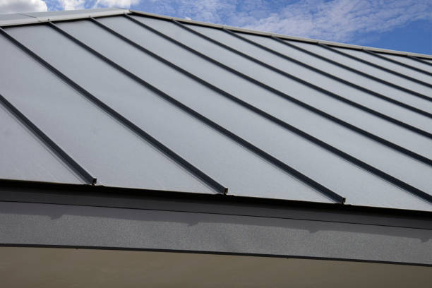 Best Roof Insulation Installation  in Inesville, GA