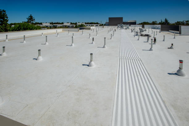 Best Roof Leak Repair  in Inesville, GA